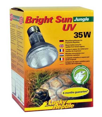 Lucky reptile bright sun - lucky,